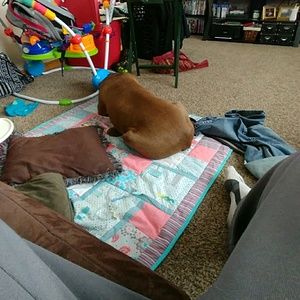 Meet your Posher, Andrew